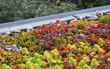 the cost of East Ruston green roof installation